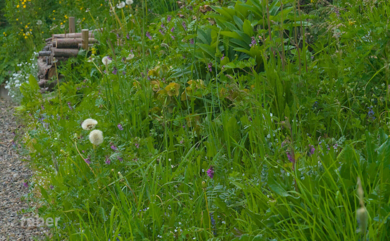 Permagarten fokus naturfotografie ch Mai 2026